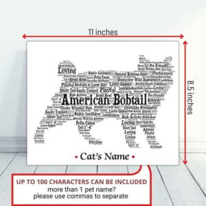 AmericanBobtail_1