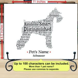 Schnauzer dog