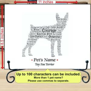 ToyFoxTerrier