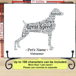 Weimaraner