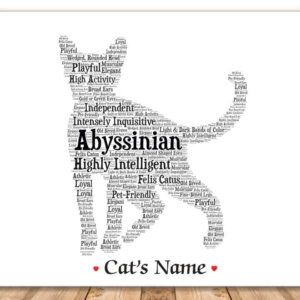 Abyssinian Cat Art Print with FREE Cat's Name + Giftwrap