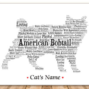 American Bobtail