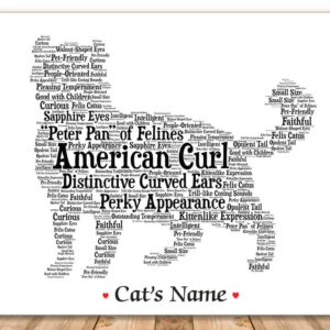 American Curl Cat Art Print with FREE Cat’s Name + Giftwrap