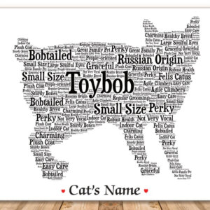 Toybob Cat Lovers Gifts with FREE Cat's Name + Giftwrap