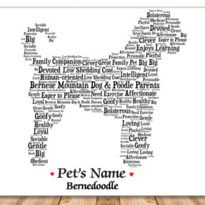 Bernedoodle
